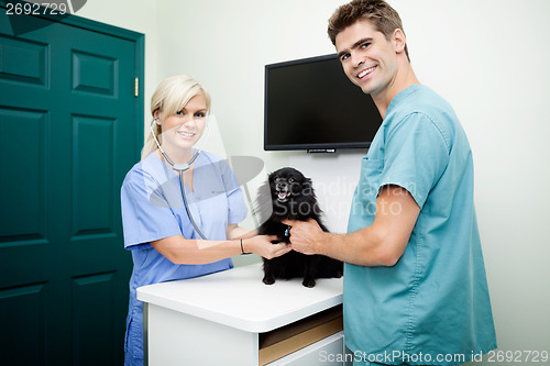 Image of Young Veterinarian Doctors Examining A Dog