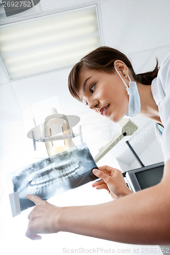 Image of Female Dentist Looking At X-Ray Image