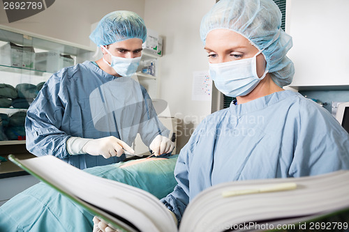 Image of Veterinarian Doctor And Female Assistant In Surgical Theatre