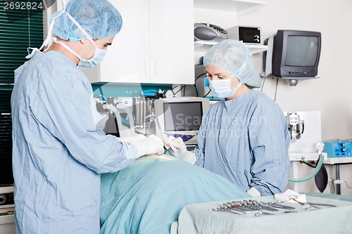 Image of Veterinarian Doctor And Female Assistant Performing A Surgery