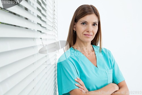 Image of Confident Female Dentist In Clinic
