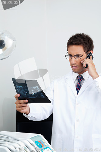 Image of Dentist On Call As He Checks X-Ray Report