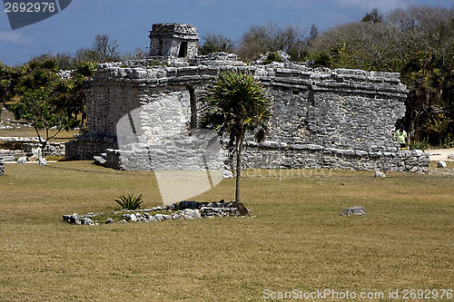 Image of   wild angle of the tulum temple in  mexico america