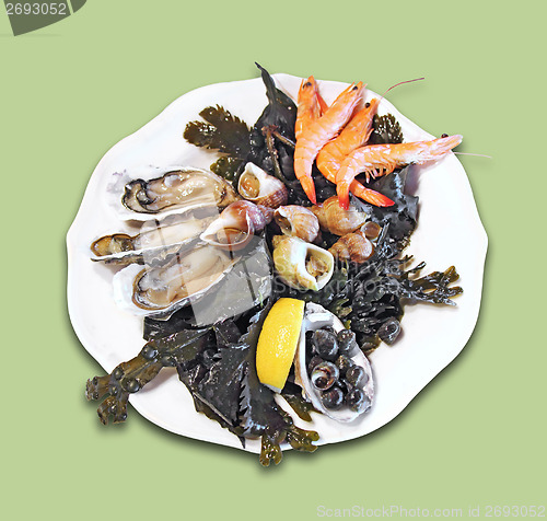 Image of Seafood platter