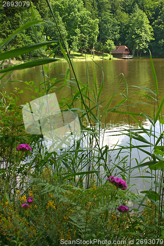 Image of Cottage at a lake