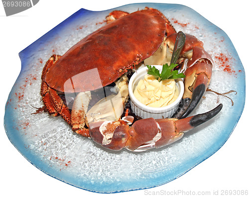 Image of Cooked crab