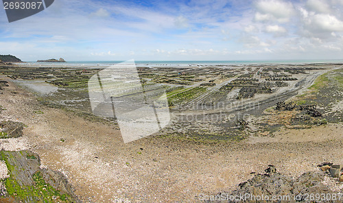 Image of Farming Oyster Cancale