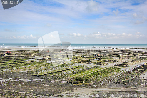 Image of Oyster parks Cancale