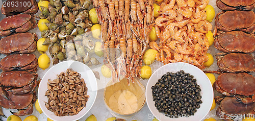 Image of Seafood
