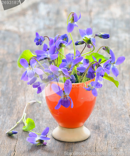 Image of violets flowers (Viola odorata)