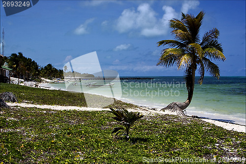 Image of in mexico  in the  blue lagoon relax    sian kaan 