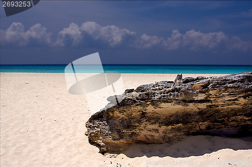 Image of light beach mexico  coastline rock     summer 