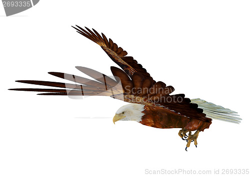 Image of Eagle