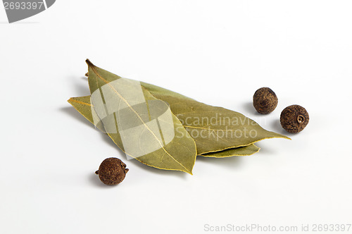 Image of Allspice and bay leaf