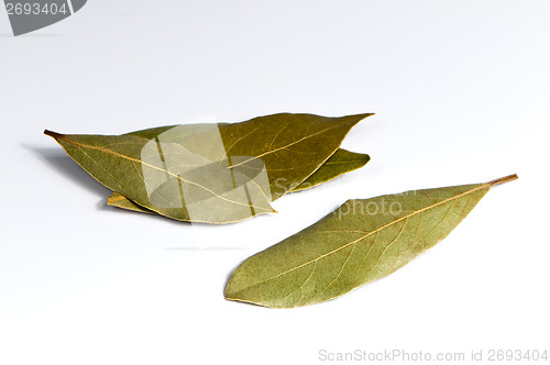 Image of Bay leaf