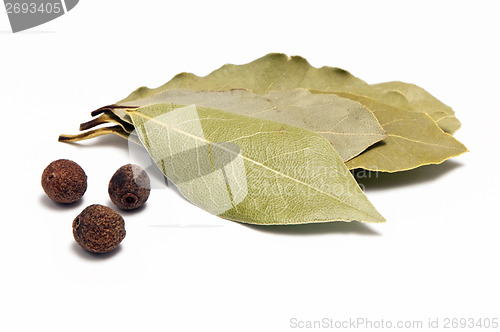 Image of Allspice and bay leaf