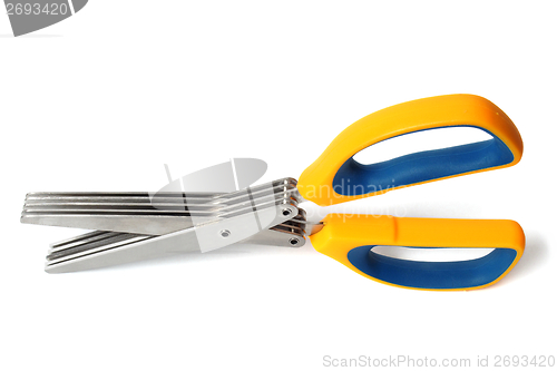 Image of Herb scissors