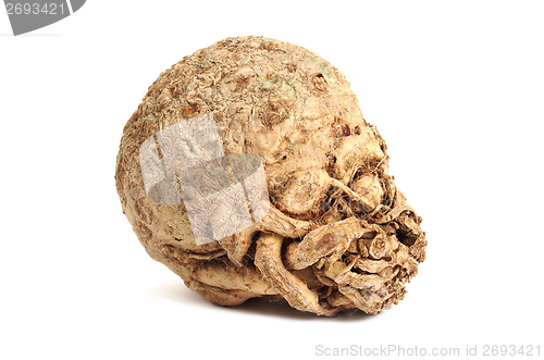 Image of Celery root on white