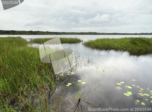 Image of wetlands around Coba