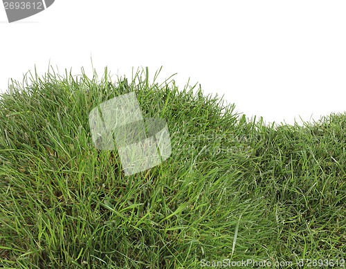 Image of Grass Hill Cutout