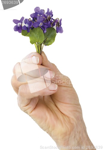 Image of Violet Flower Cutout