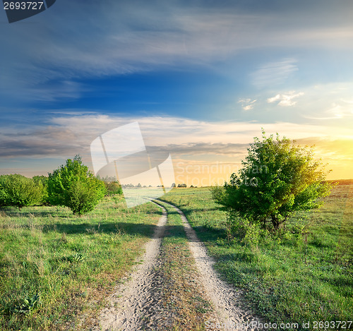 Image of Road and trees