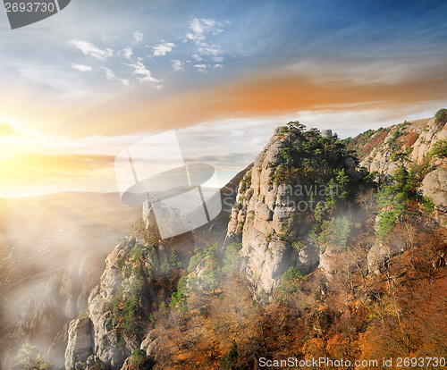 Image of Fog in the mountain canyon