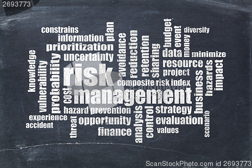 Image of risk management word cloud