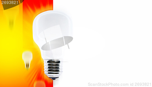 Image of White bulb