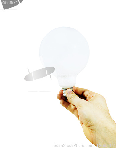 Image of White bulb