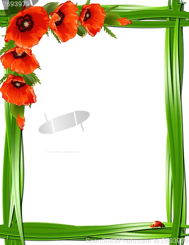 Image of Floral frame