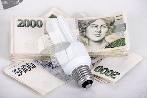 Image of saving money with energy saving bulb