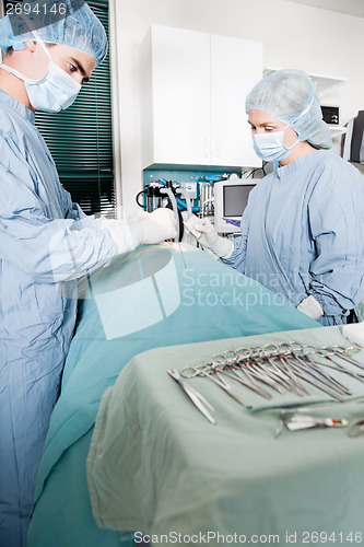 Image of Veterinarian Doctor And Female Assistant Performing A Surgery