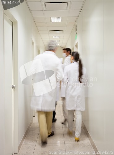 Image of Medical Professionals Walking In Corridor