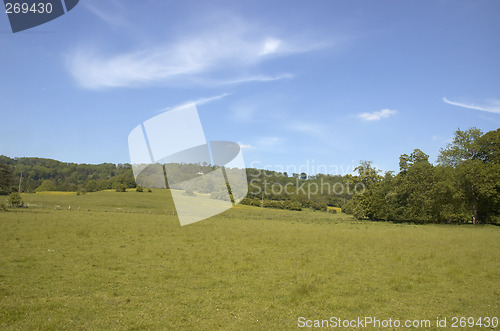 Image of Summer landscape