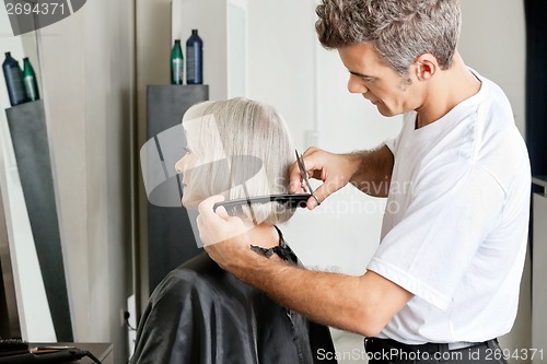 Image of Hairdresser Examining Hair Length Of Client