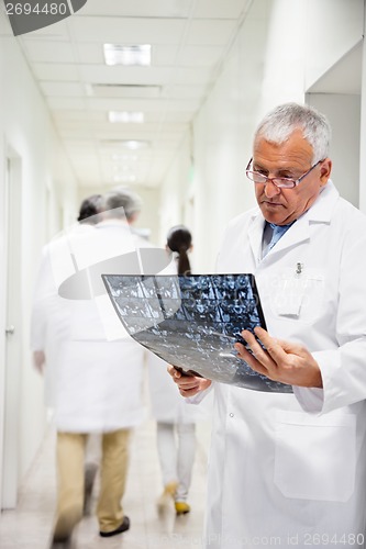 Image of Senior Radiologist Reviewing X-ray