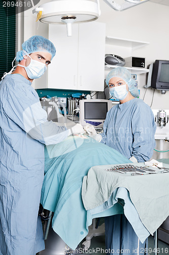 Image of Veterinarian Doctor And Female Assistant Performing A Surgery