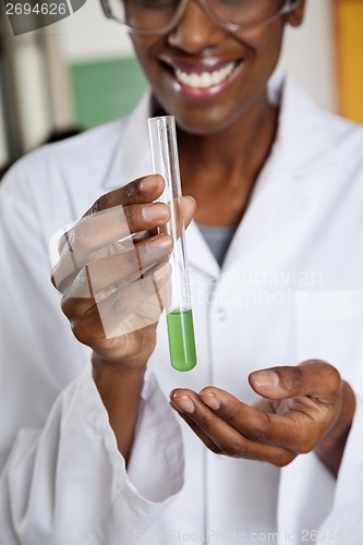 Image of Teacher Holding Chemical Solution In Test Tube