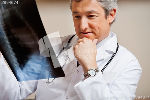 Image of Radiologist Studying X-ray