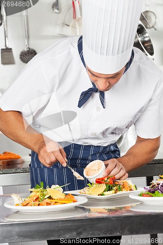 Image of Chef Garnishing Dish With Mayonnaise