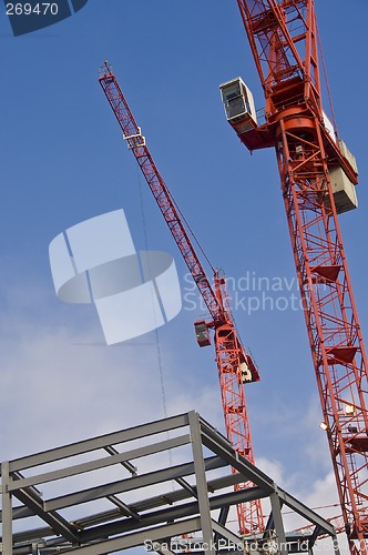 Image of Two red cranes