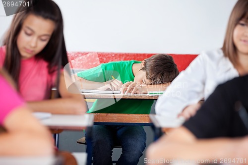 Image of Schoolboy Sleeping On Desk