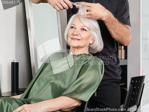 Image of Woman Having Hair Cut At Salon