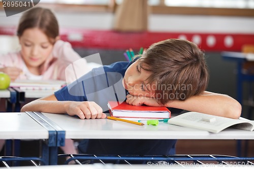 Image of Boy Sleeping While Girl Studying In Background