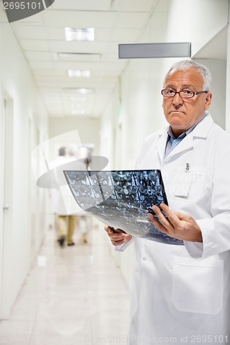 Image of Radiologist Holding MRI X-ray