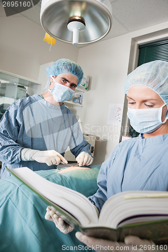 Image of Veterinarian Doctor Operating With Female Assistant Referring To