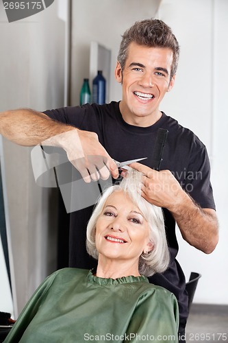Image of Hairdresser Cutting Client's Hair At Salon