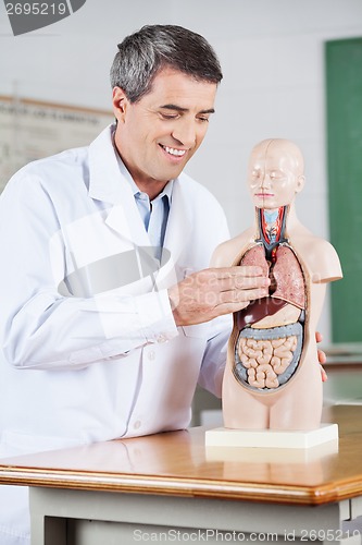 Image of Male Teacher Smiling While Examining Anatomical Model