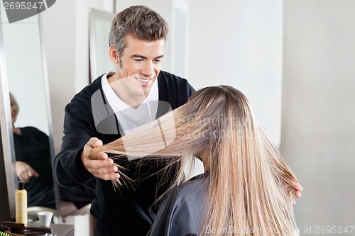 Image of Hairstylist Examining Client's Hair At Salon